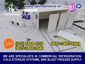 Manfaat Investasi dalam Cold Room Freezer 2 Ton untuk Industri Farmasi,
